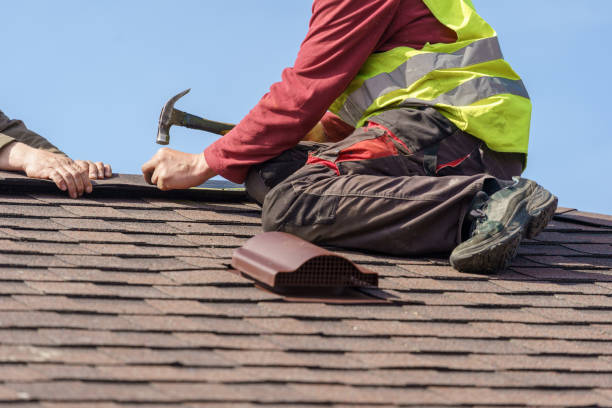 Quick and Trustworthy Emergency Roof Repair Services in Trinity, FL