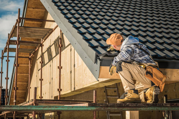 Best Gutter Installation and Roofing  in Trinity, FL