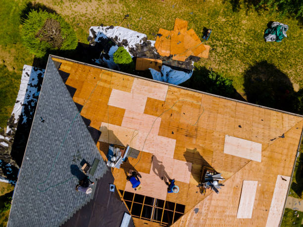 Best Commercial Roofing Services  in Trinity, FL