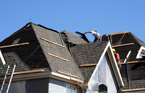Professional Roofing Contractor in Trinity, FL