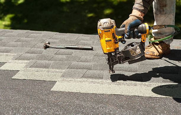 Best Best Roofing Contractors  in Trinity, FL