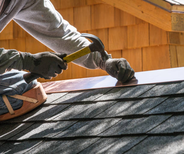 Best Affordable Roofing Company  in Trinity, FL